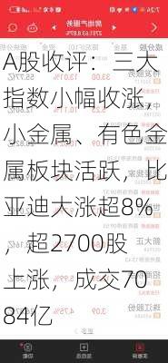 A股收评：三大指数小幅收涨，小金属、有色金属板块活跃，比亚迪大涨超8%，超2700股上涨，成交7084亿