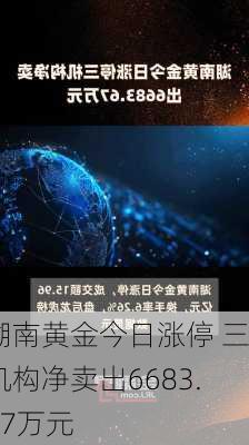 湖南黄金今日涨停 三机构净卖出6683.67万元