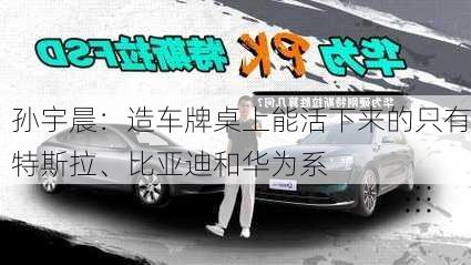 孙宇晨：造车牌桌上能活下来的只有特斯拉、比亚迪和华为系