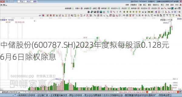 中储股份(600787.SH)2023年度拟每股派0.128元 6月6日除权除息