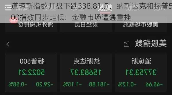 道琼斯指数开盘下跌338.81点，纳斯达克和标普500指数同步走低：金融市场遭遇重挫