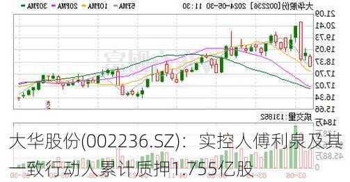 大华股份(002236.SZ)：实控人傅利泉及其一致行动人累计质押1.755亿股