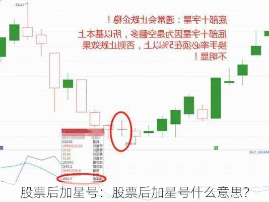 股票后加星号：股票后加星号什么意思？