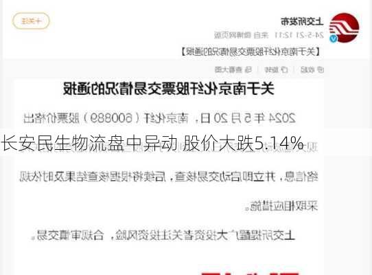 长安民生物流盘中异动 股价大跌5.14%