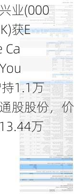 希慎兴业(00014.HK)获Elaine Carole Young增持1.1万股普通股股份，价值约13.44万港元