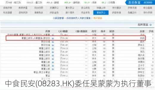 中食民安(08283.HK)委任吴蒙蒙为执行董事
