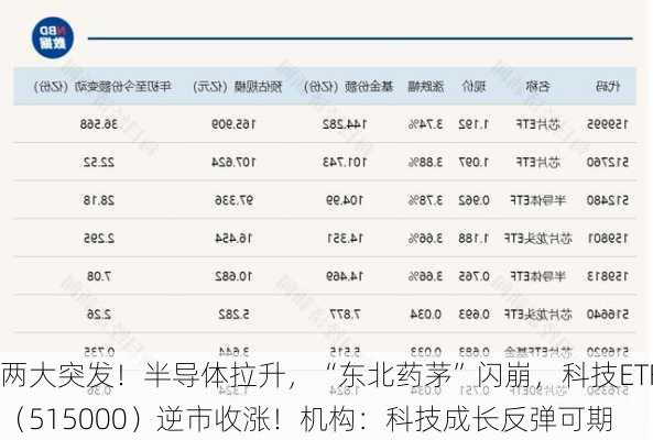 两大突发！半导体拉升，“东北药茅”闪崩，科技ETF（515000）逆市收涨！机构：科技成长反弹可期