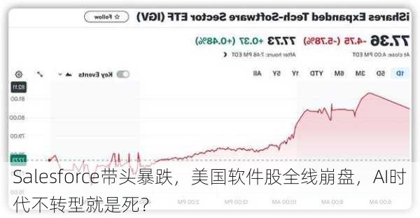 Salesforce带头暴跌，美国软件股全线崩盘，AI时代不转型就是死？