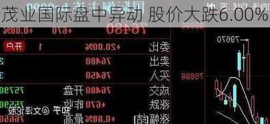 茂业国际盘中异动 股价大跌6.00%