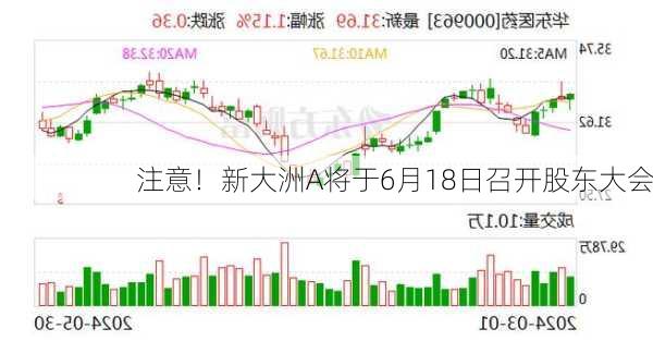 注意！新大洲A将于6月18日召开股东大会