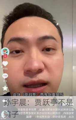 孙宇晨：贾跃亭不是骗子