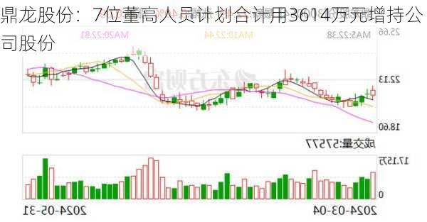 鼎龙股份：7位董高人员计划合计用3614万元增持公司股份