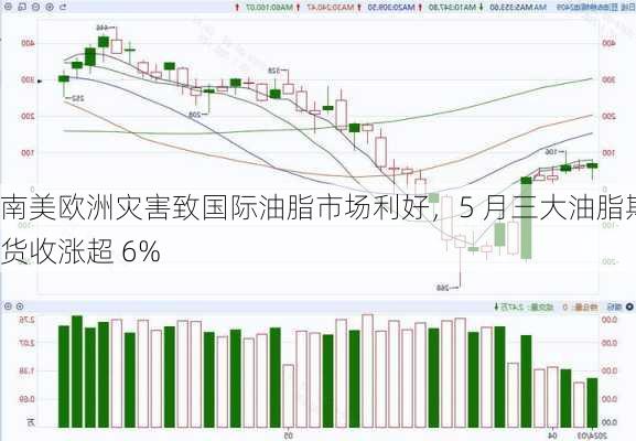 南美欧洲灾害致国际油脂市场利好，5 月三大油脂期货收涨超 6%