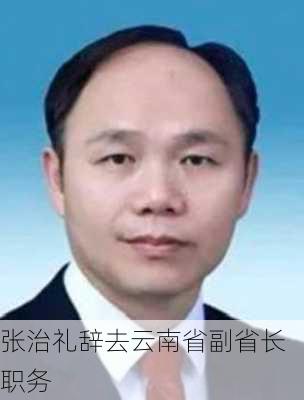 张治礼辞去云南省副省长职务