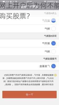 网上开户后为何不能购买股票？