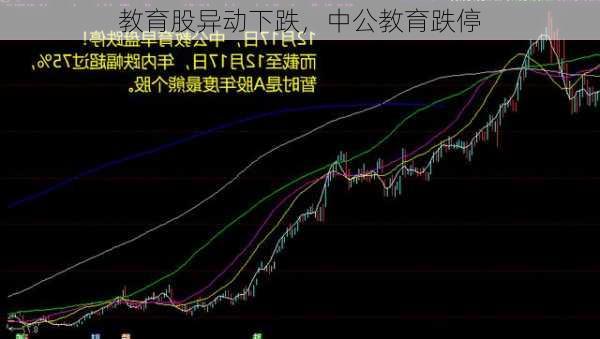 教育股异动下跌，中公教育跌停