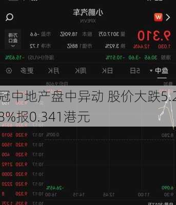 冠中地产盘中异动 股价大跌5.28%报0.341港元