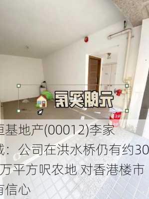 恒基地产(00012)李家诚：公司在洪水桥仍有约300万平方呎农地 对香港楼市有信心