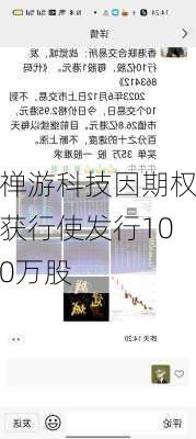 禅游科技因期权获行使发行100万股