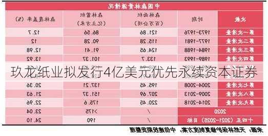 玖龙纸业拟发行4亿美元优先永续资本证券