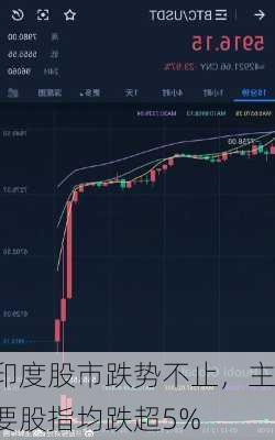 印度股市跌势不止，主要股指均跌超5%