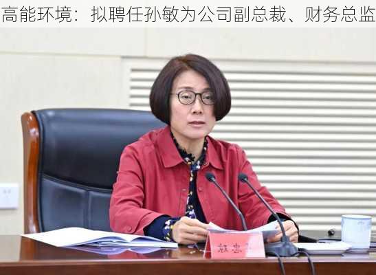 高能环境：拟聘任孙敏为公司副总裁、财务总监