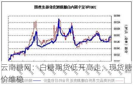 云南糖网：白糖期货低开高走，现货糖价维稳