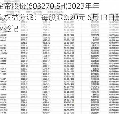 金帝股份(603270.SH)2023年年度权益分派：每股派0.20元 6月13日股权登记