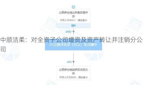 中顺洁柔：对全资子公司增资及资产转让并注销分公司