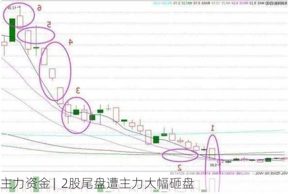 主力资金 |  2股尾盘遭主力大幅砸盘