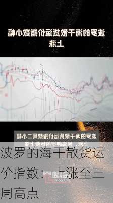 波罗的海干散货运价指数：上涨至三周高点