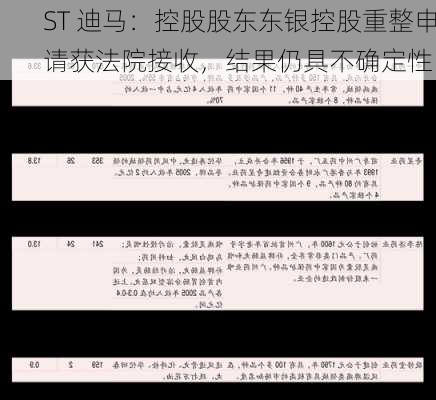 ST 迪马：控股股东东银控股重整申请获法院接收，结果仍具不确定性