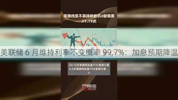 美联储 6 月维持利率不变概率 99.7%：加息预期降温