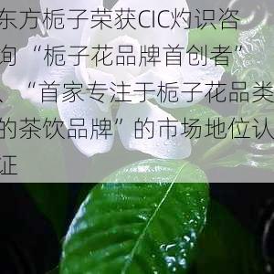 东方栀子荣获CIC灼识咨询 “栀子花品牌首创者”、“首家专注于栀子花品类的茶饮品牌”的市场地位认证