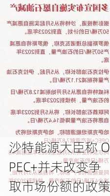 沙特能源大臣称 OPEC+并未改变争取市场份额的政策