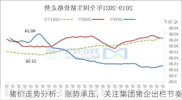 猪价走势分析：涨势承压，关注集团猪企出栏节奏