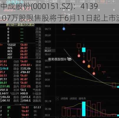 中成股份(000151.SZ)：4139.07万股限售股将于6月11日起上市流通