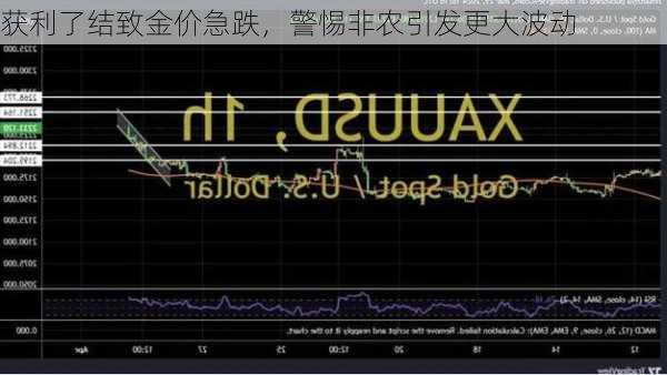 获利了结致金价急跌，警惕非农引发更大波动