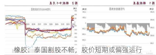 橡胶：泰国割胶不畅，胶价短期或偏强运行