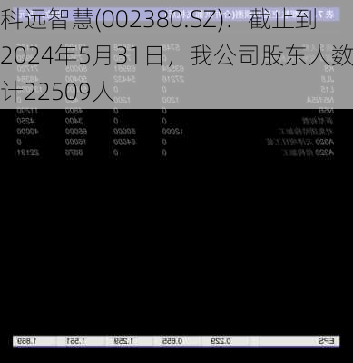 科远智慧(002380.SZ)：截止到2024年5月31日，我公司股东人数共计22509人