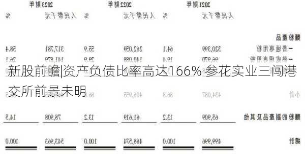 新股前瞻|资产负债比率高达166% 参花实业三闯港交所前景未明