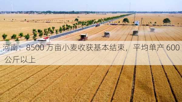 河南：8500 万亩小麦收获基本结束，平均单产 600 公斤以上