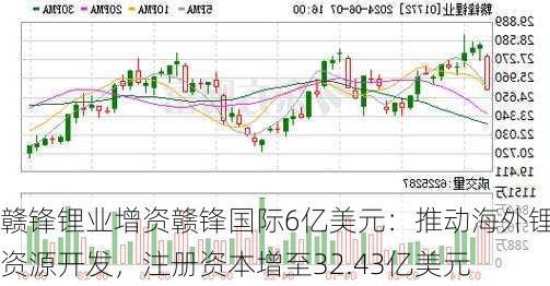 赣锋锂业增资赣锋国际6亿美元：推动海外锂资源开发，注册资本增至32.43亿美元