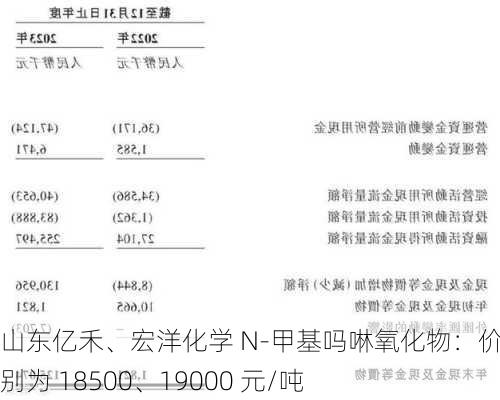 山东亿禾、宏洋化学 N-甲基吗啉氧化物：价格分别为 18500、19000 元/吨