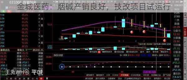 金城医药：烟碱产销良好，技改项目试运行