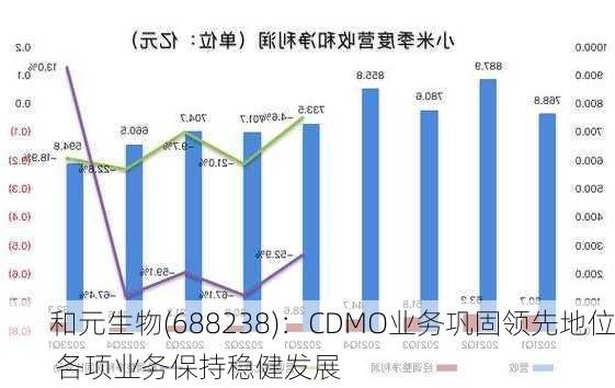 和元生物(688238)：CDMO业务巩固领先地位 各项业务保持稳健发展