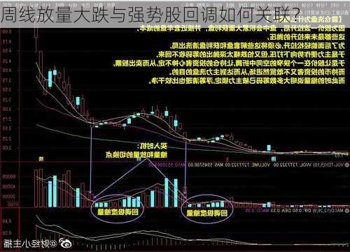 周线放量大跌与强势股回调如何关联？