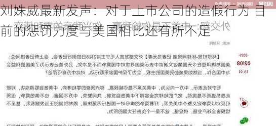 刘姝威最新发声：对于上市公司的造假行为 目前的惩罚力度与美国相比还有所不足