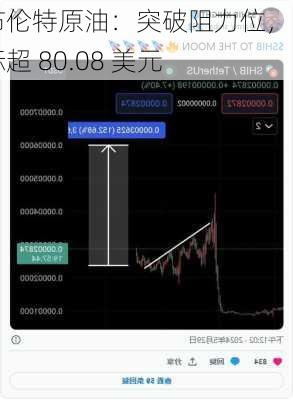 布伦特原油：突破阻力位，目标超 80.08 美元