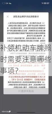 补领机动车牌照时需要注意哪些事项？